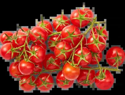 Bio-Cherry-Rispentomaten