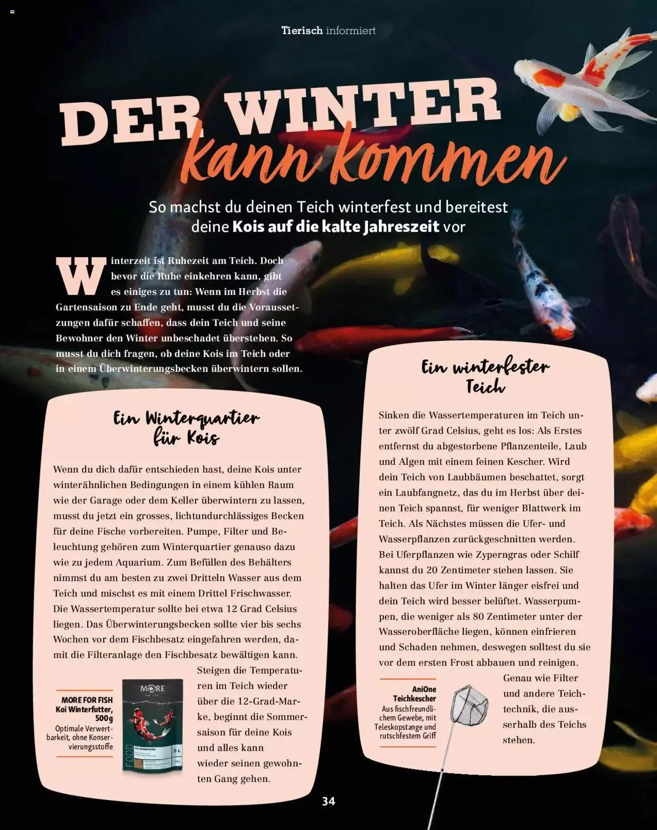 Fressnapf Magazin von 1. September bis 31. Oktober 2023 - Prospekt seite 34