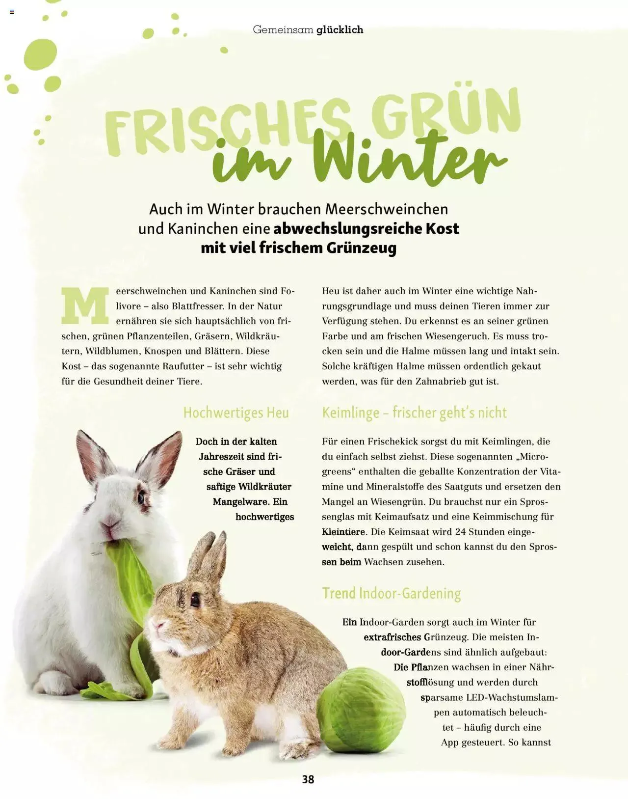 Fressnapf Aktionen von 1. November bis 31. Dezember 2023 - Prospekt seite  38