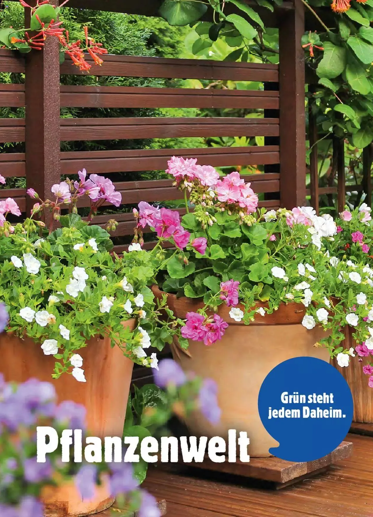 Jumbo Dein Garten 2023 von 20. März bis 31. Dezember 2023 - Prospekt seite 4