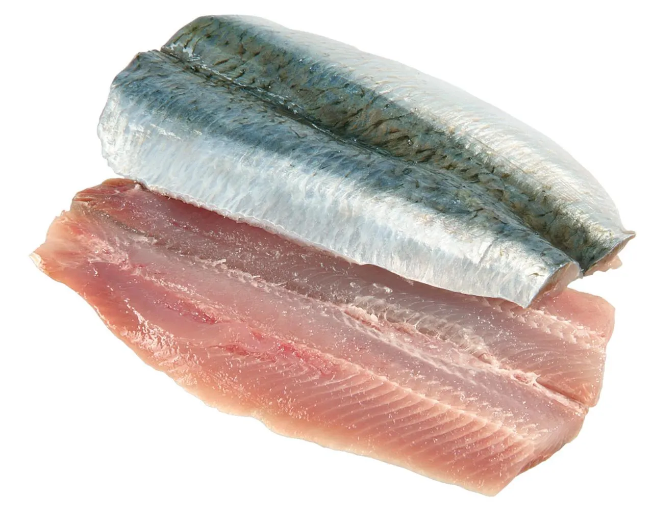 Sardinenfilets frisch