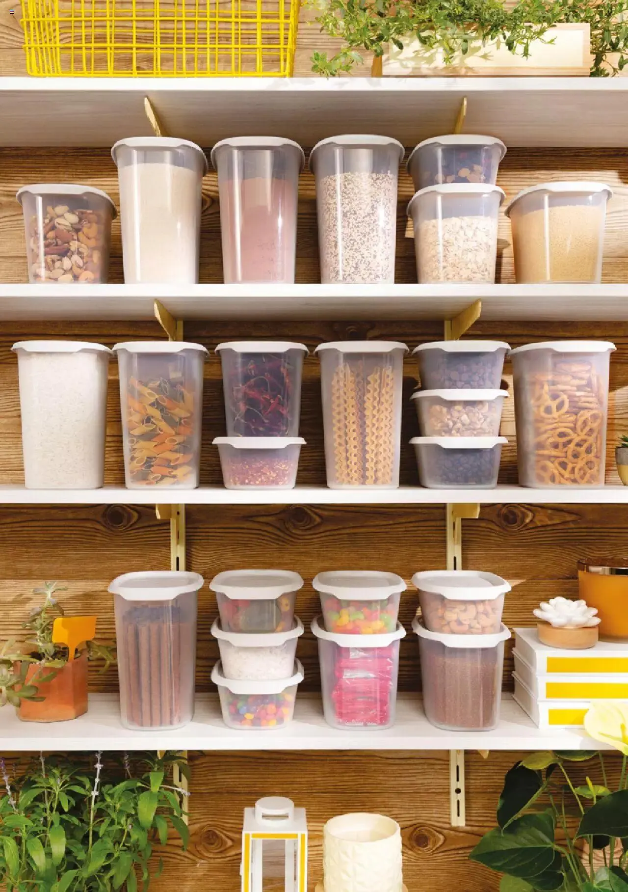 Tupperware Aktionen von 3. Juli bis 6. August 2023 - Prospekt seite  9