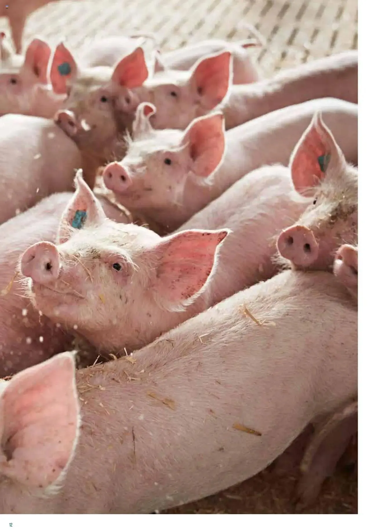 Prodega Aktionen Origine Sortimentsbroschüre von 1. Mai bis 31. Dezember 2024 - Prospekt seite  12