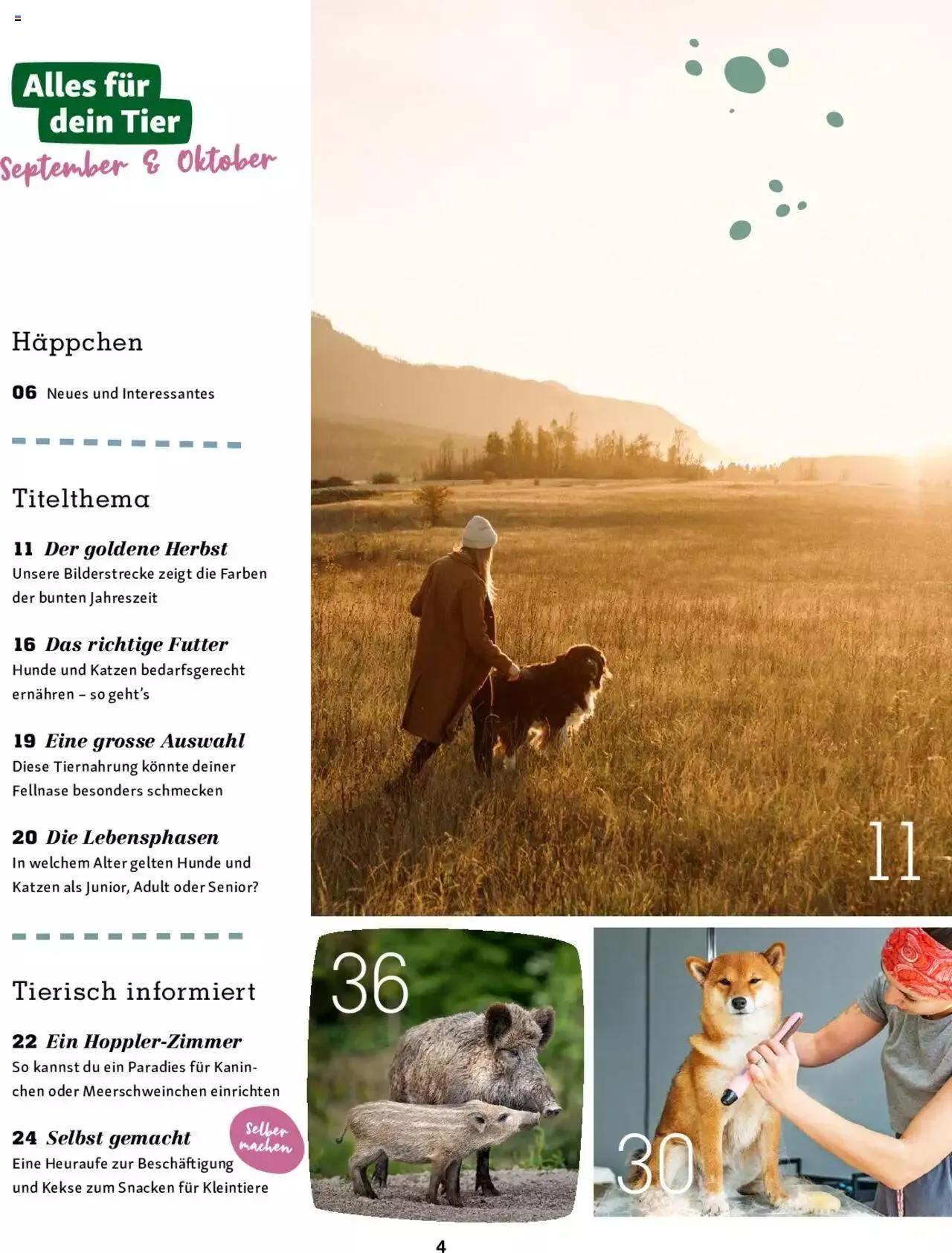 Fressnapf Magazin von 1. September bis 31. Oktober 2023 - Prospekt seite 4