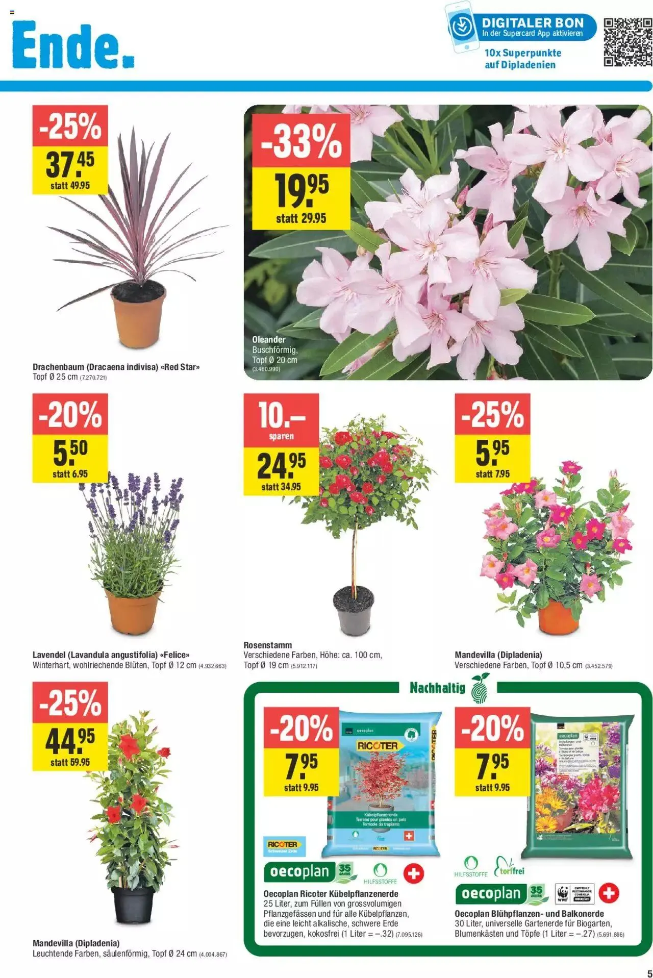 Jumbo Aktionen von 7. Mai bis 19. Mai 2024 - Prospekt seite  5
