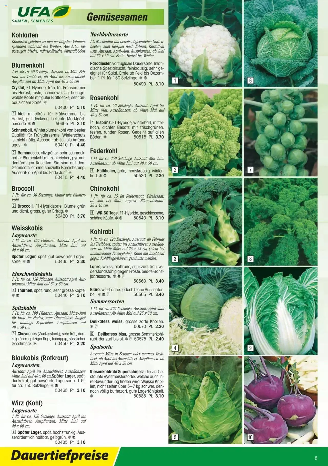Landi - Gartensamenkatalog 2023 von 10. Januar bis 31. Dezember 2023 - Prospekt seite  8