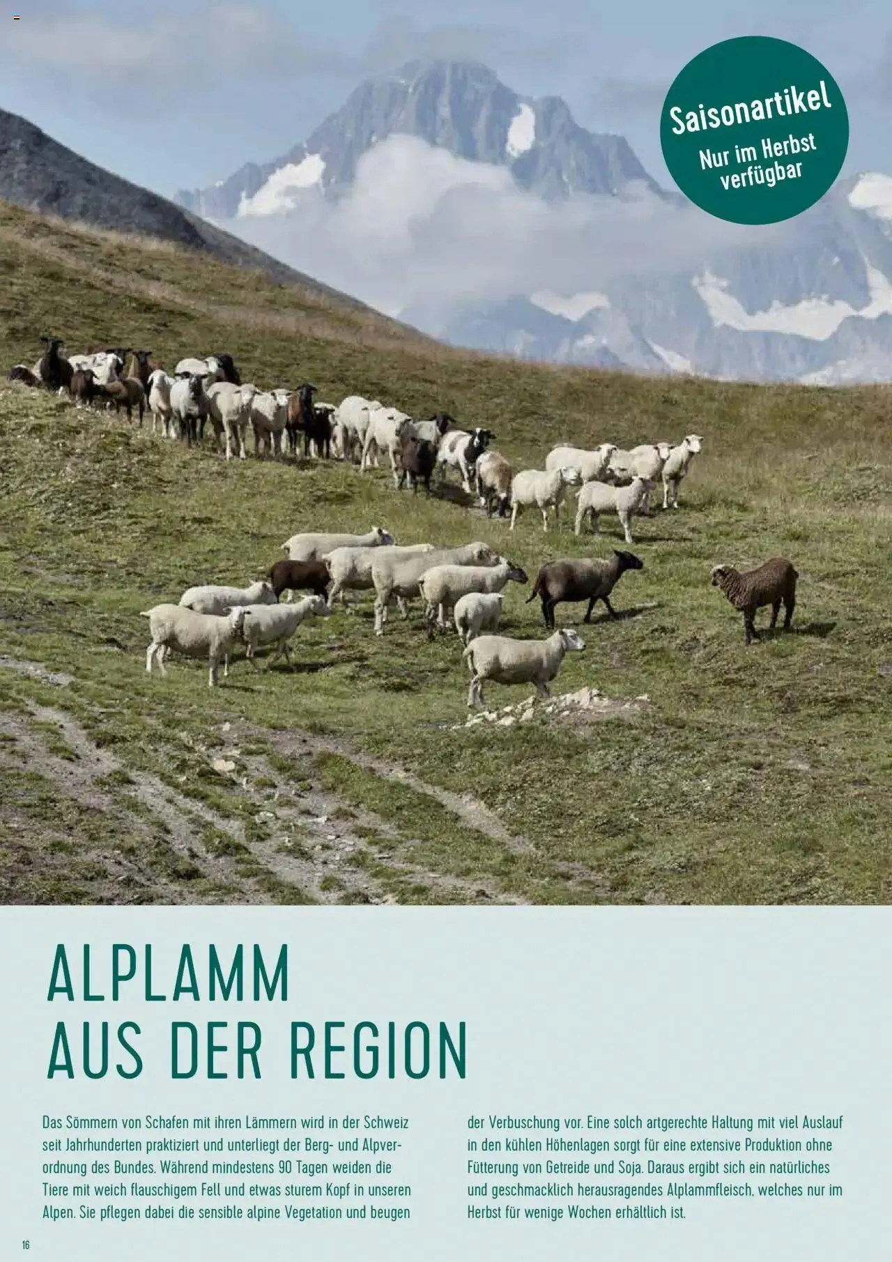 Prodega Aktionen Origine Sortimentsbroschüre von 1. Mai bis 31. Dezember 2024 - Prospekt seite  16