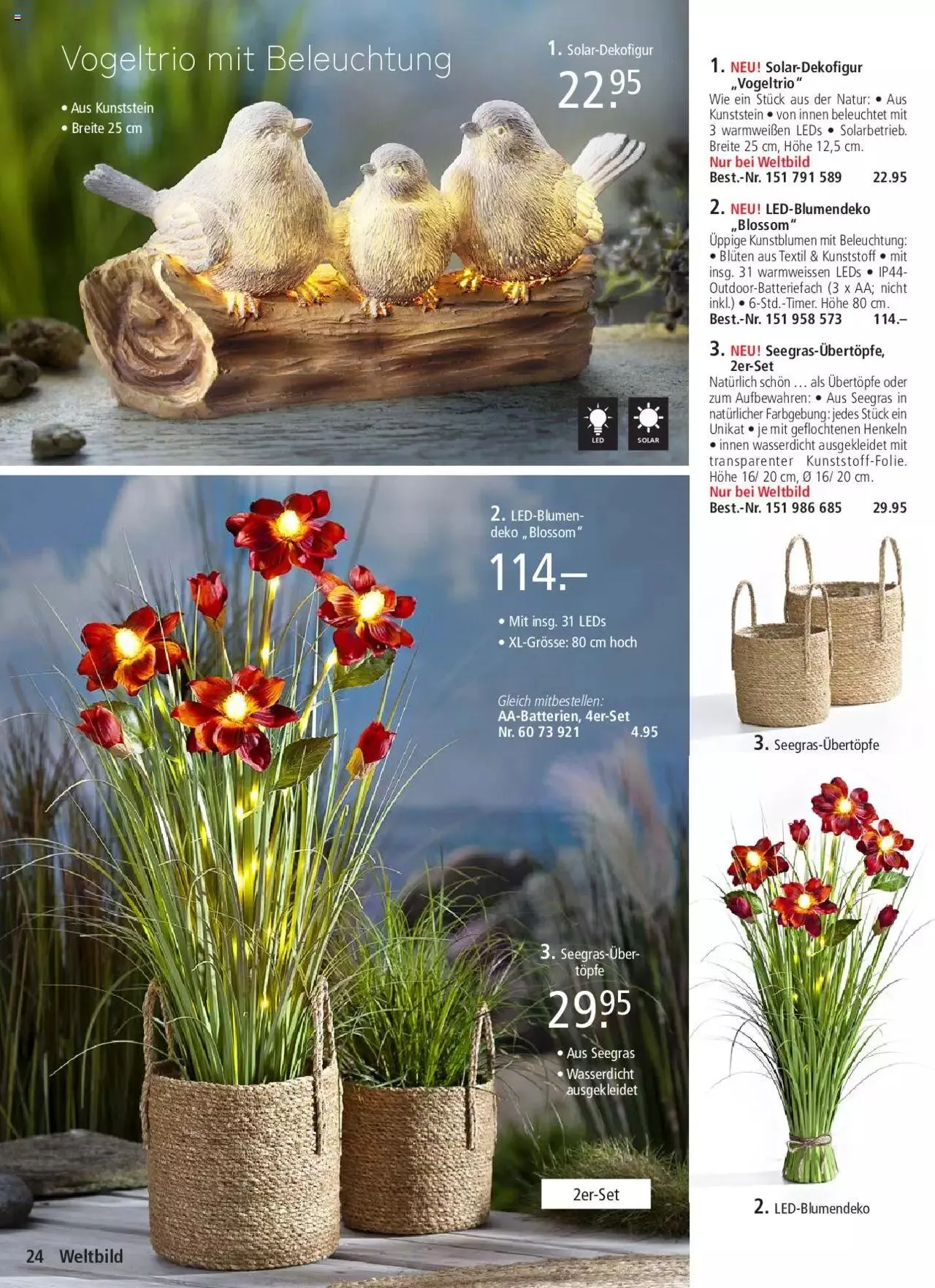 Weltbild Aktionen von 24. Mai bis 31. Dezember 2024 - Prospekt seite  24