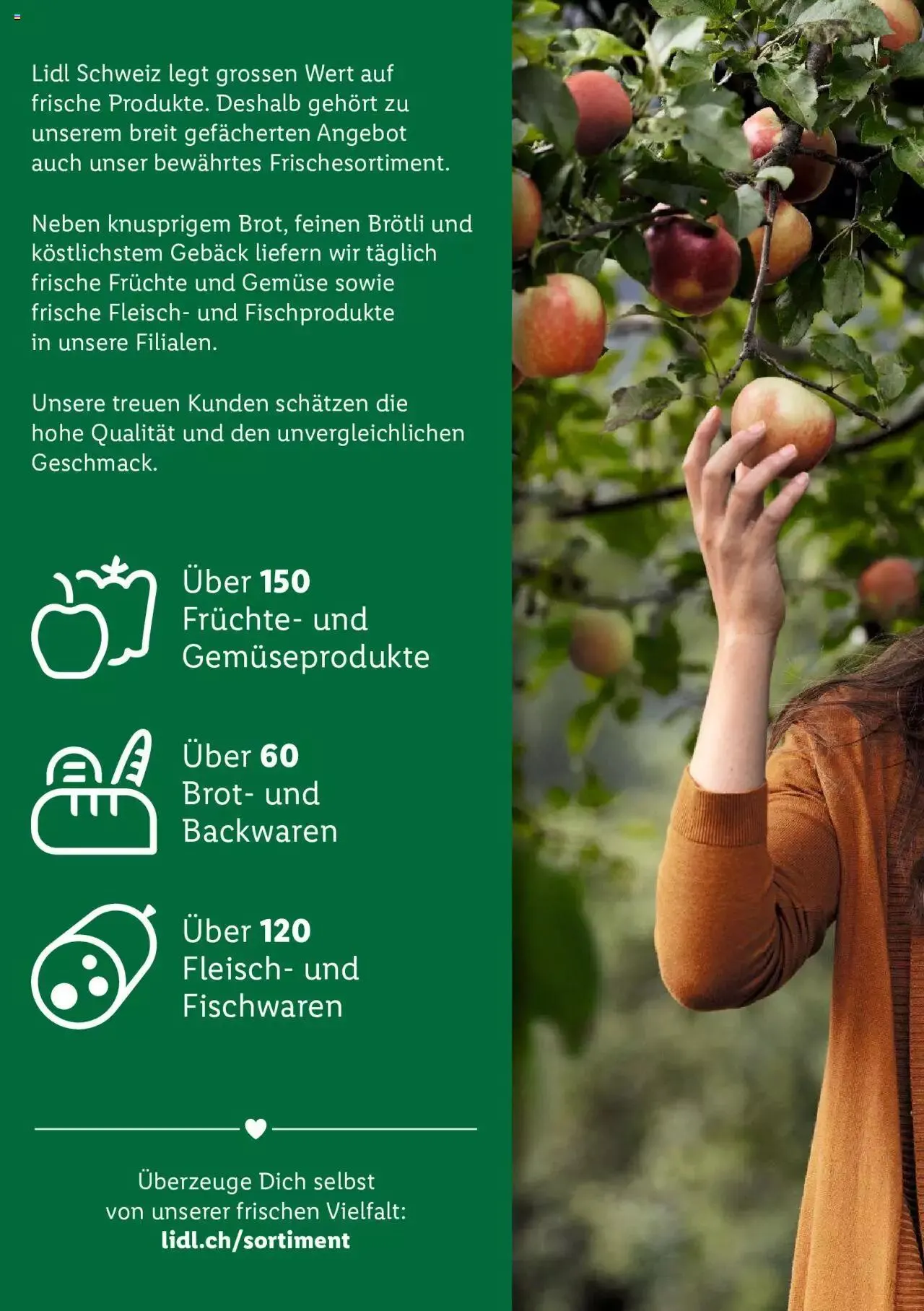 Lidl - Wir lieben die Schweiz von 5. Dezember bis 31. Dezember 2023 - Prospekt seite  4