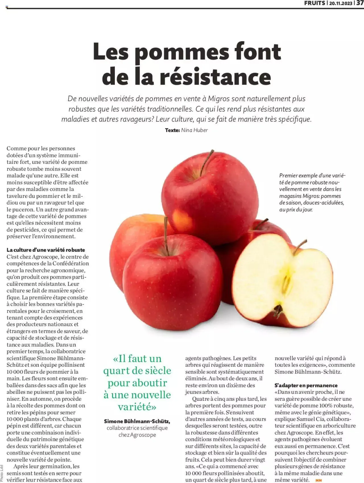 Migros Magazin FR von 20. November bis 31. Dezember 2023 - Prospekt seite  37