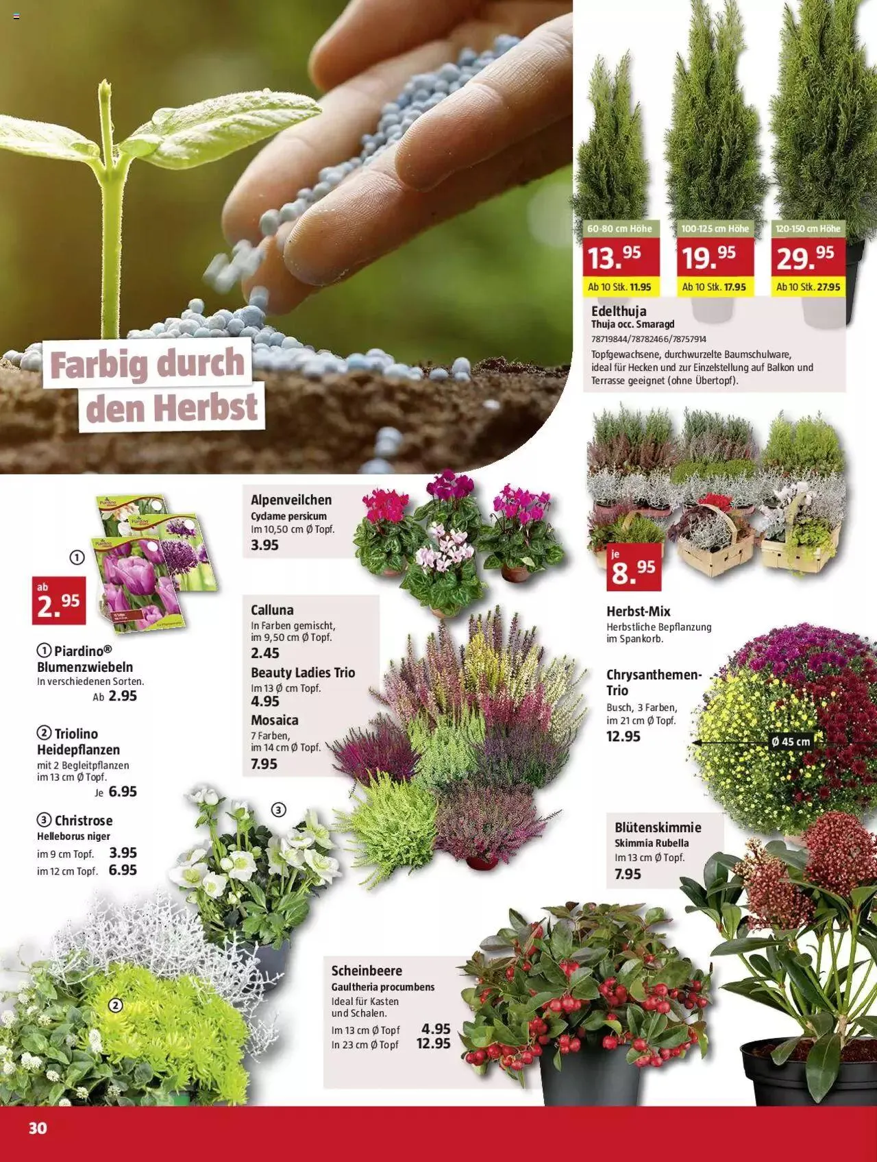 Bauhaus Aktionen von 2. Oktober bis 29. Oktober 2023 - Prospekt seite 30