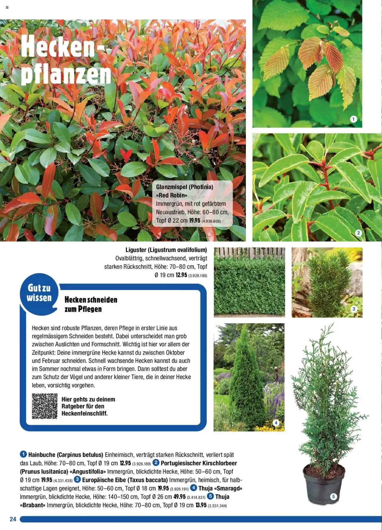 Jumbo Dein Garten 2023 von 20. März bis 31. Dezember 2023 - Prospekt seite 24