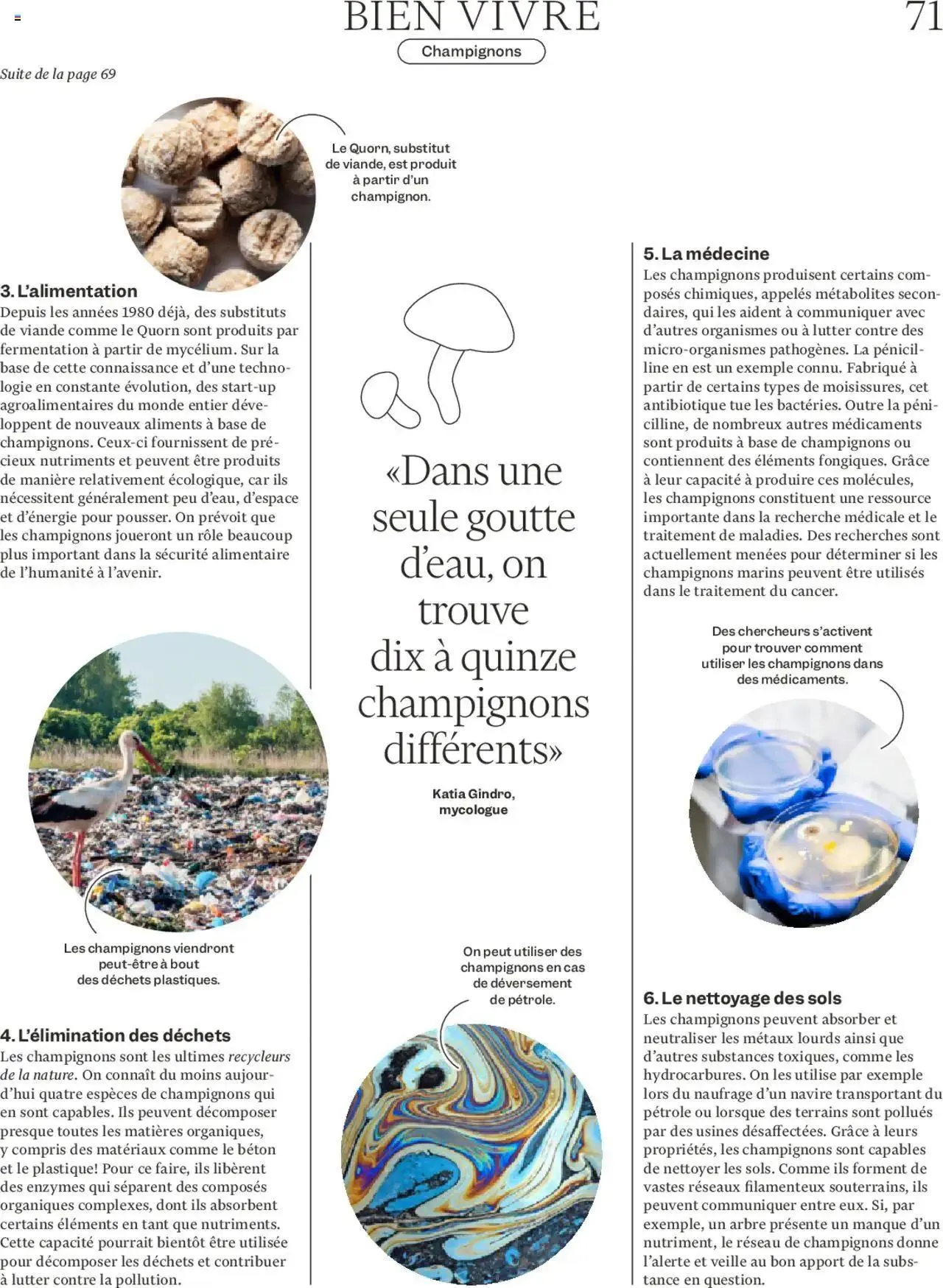 Migros Magazin FR von 21. Oktober bis 27. Oktober 2024 - Prospekt seite 71