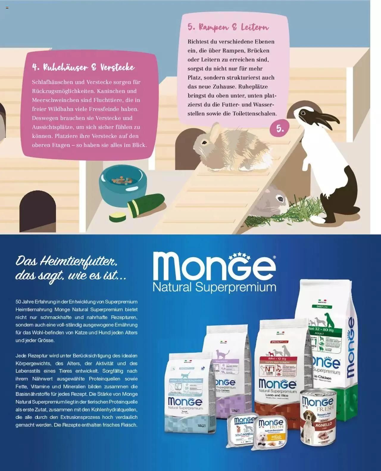 Fressnapf Magazin von 1. September bis 31. Oktober 2023 - Prospekt seite  23