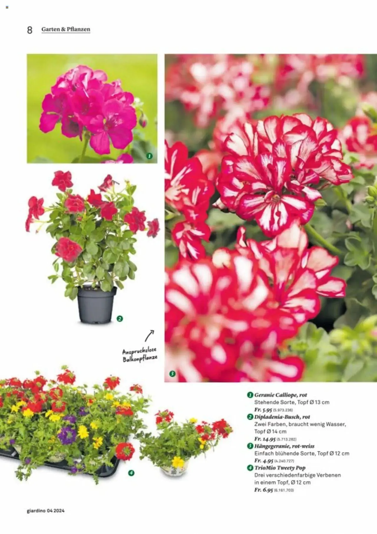 Jumbo Aktionen giardino von 21. Oktober bis 31. Dezember 2024 - Prospekt seite  8