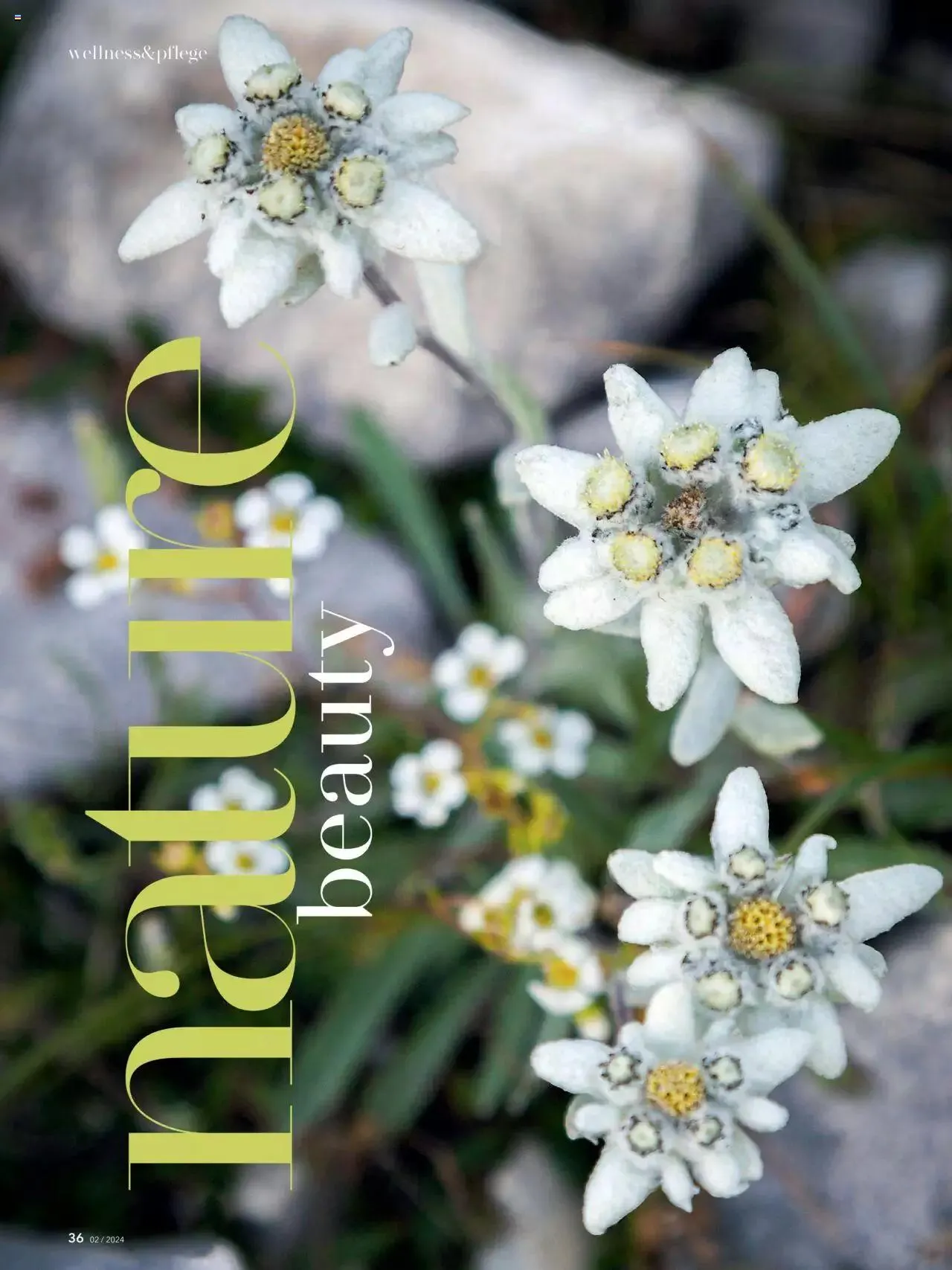 Coop City Aktionen von 29. April bis 31. Dezember 2024 - Prospekt seite  36