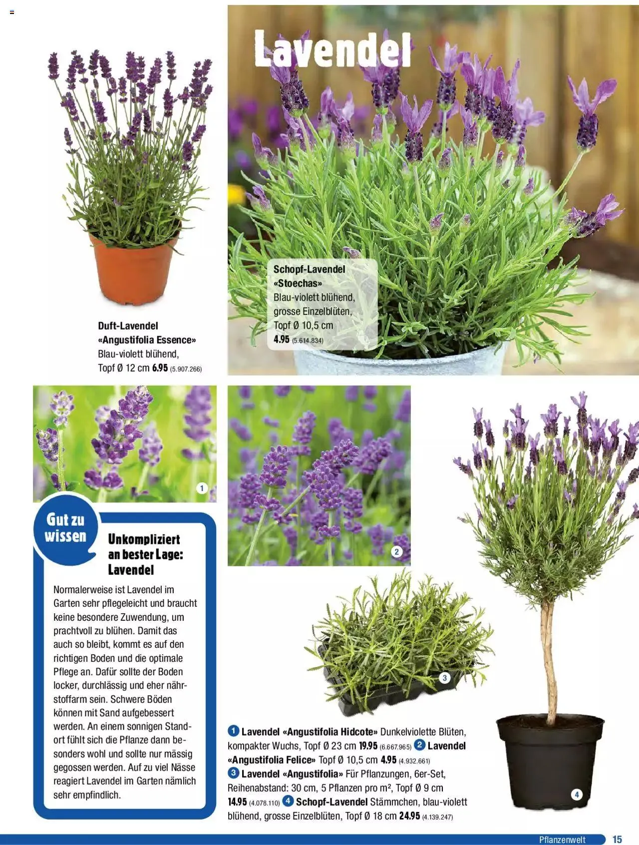 Jumbo Dein Garten 2023 von 20. März bis 31. Dezember 2023 - Prospekt seite 15