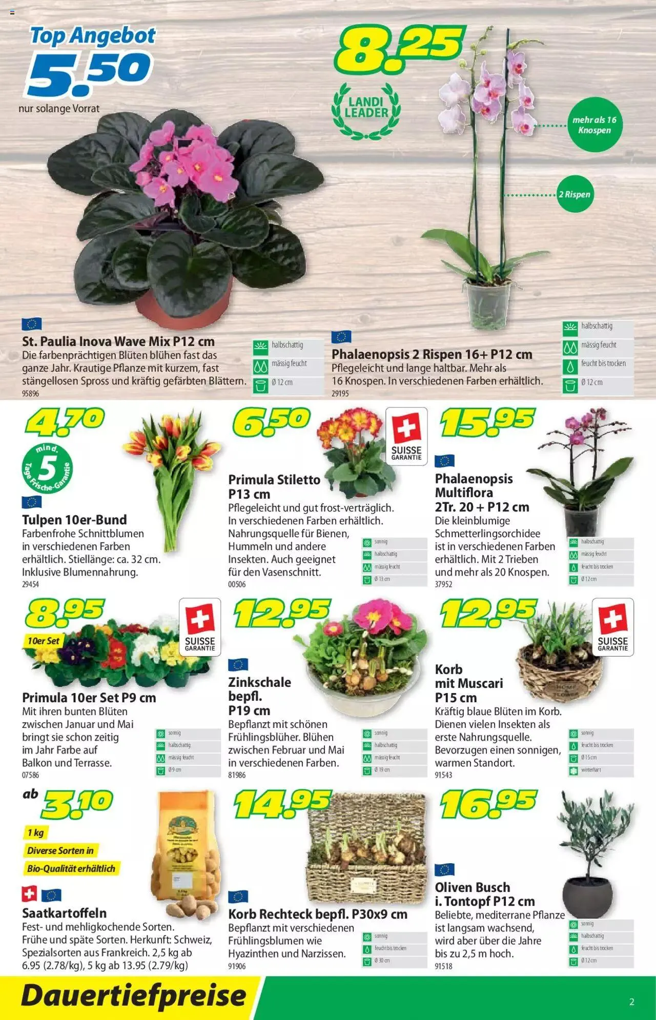 Landi - Aktueller Prospekt von 20. Februar bis 31. Dezember 2023 - Prospekt seite  2