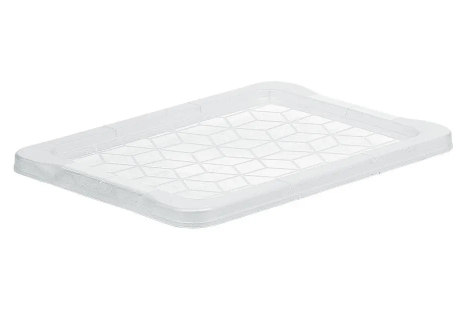 Rotho Deckel für Evo Easy Box | 4 l