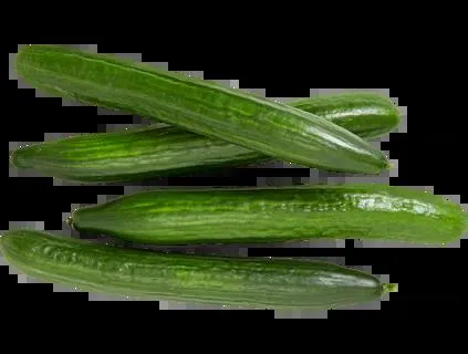 Bio-Gurken