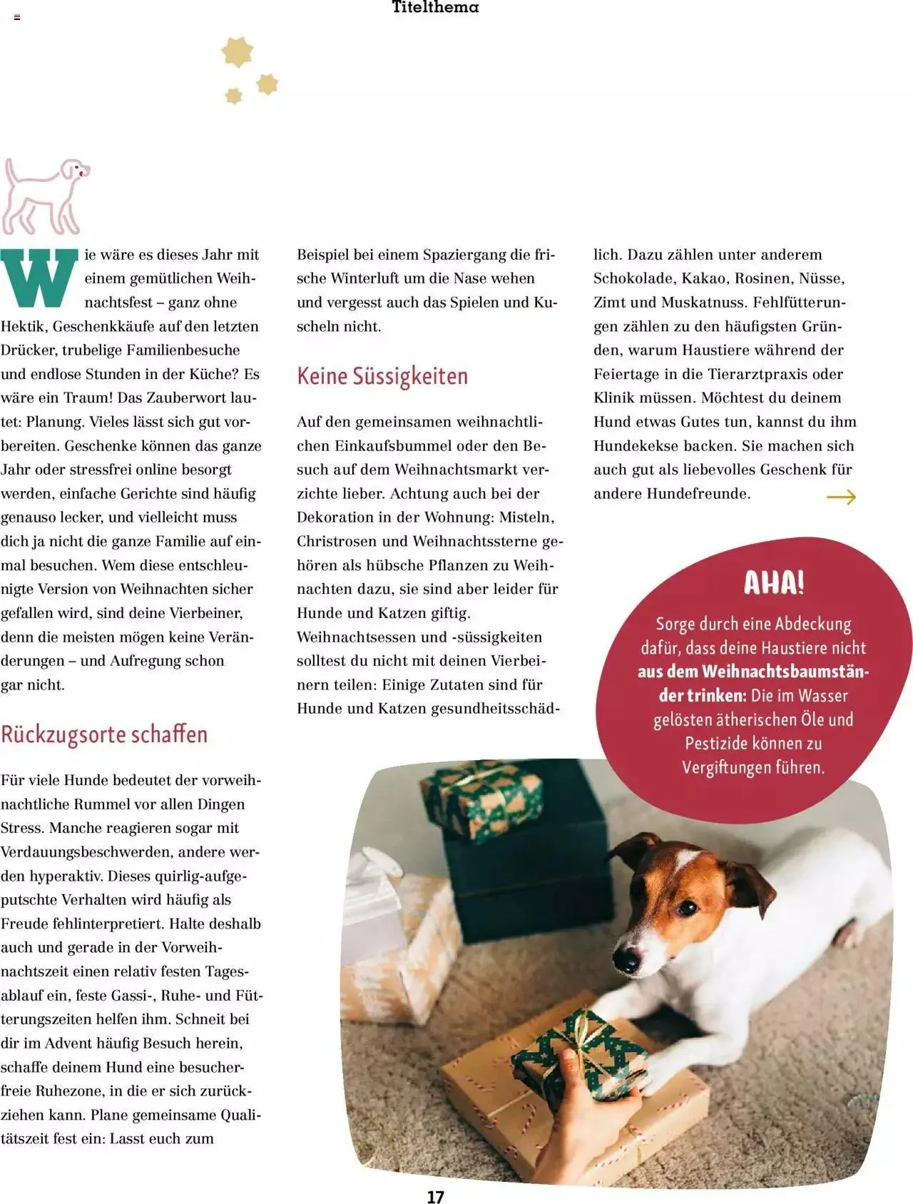 Fressnapf Aktionen von 1. November bis 31. Dezember 2023 - Prospekt seite 17