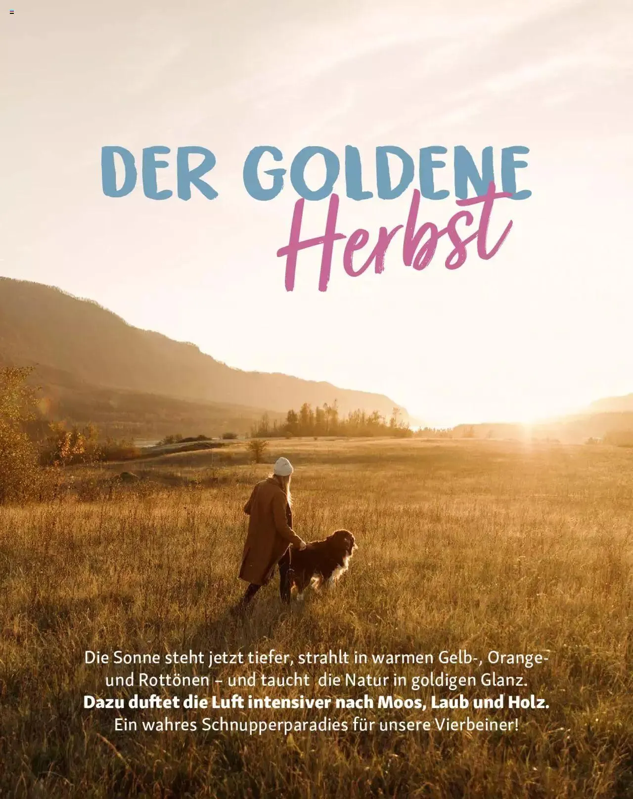 Fressnapf Magazin von 1. September bis 31. Oktober 2023 - Prospekt seite  11