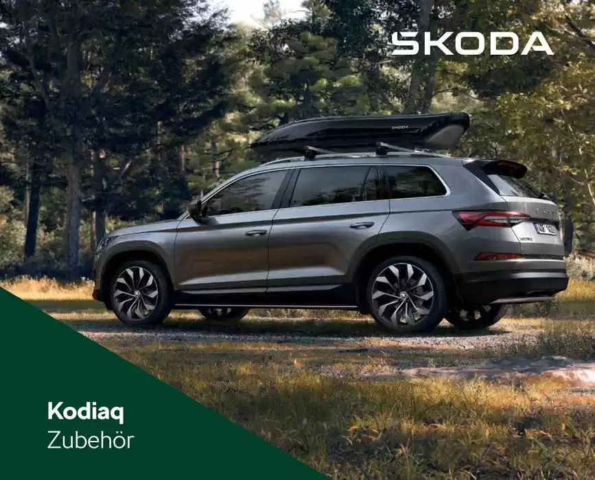Prospekt Original Zubehör ® - Kodiaq von 24. Oktober bis 7. November 2024 - Prospekt seite  1