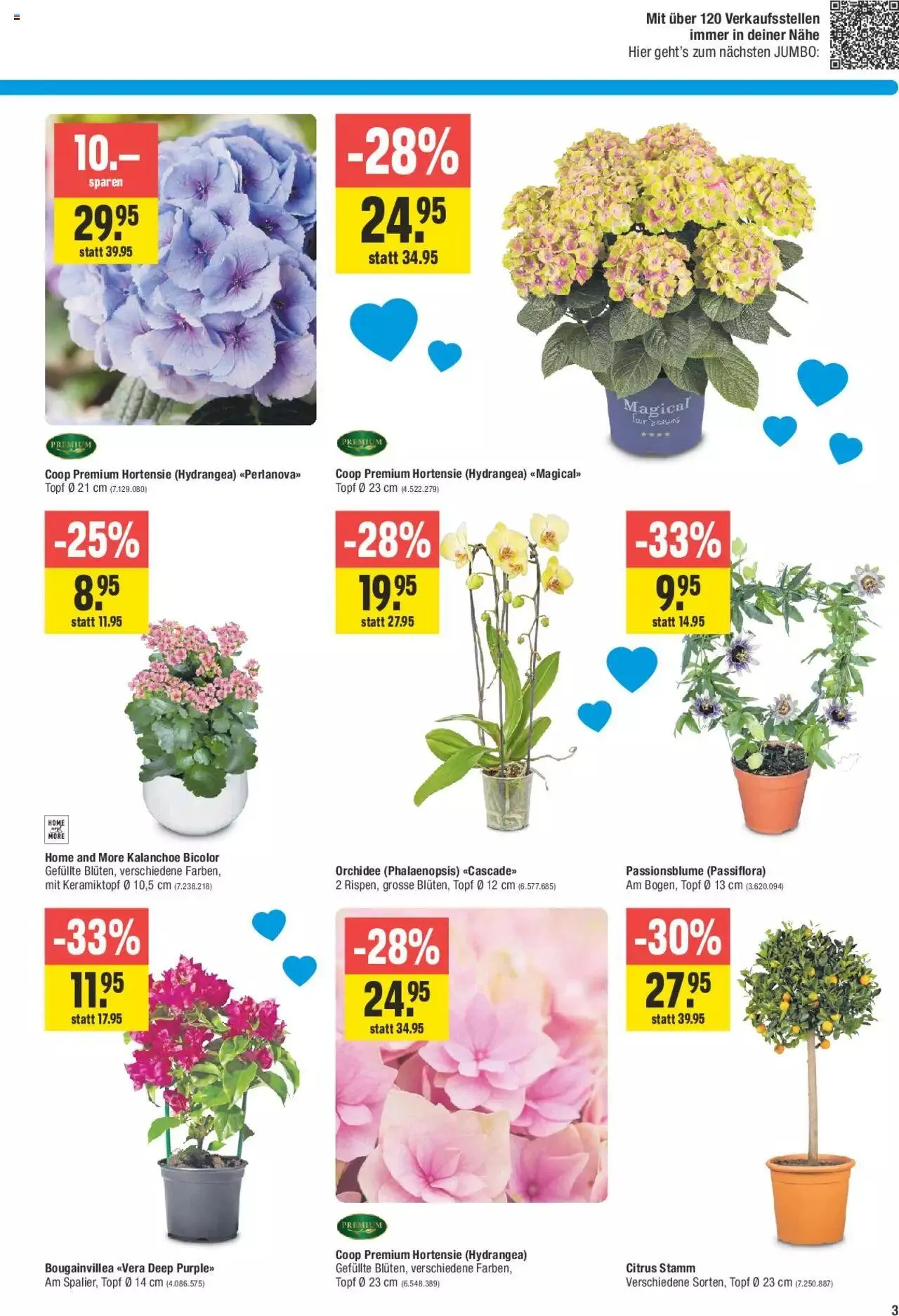 Jumbo Aktionen von 7. Mai bis 19. Mai 2024 - Prospekt seite  3
