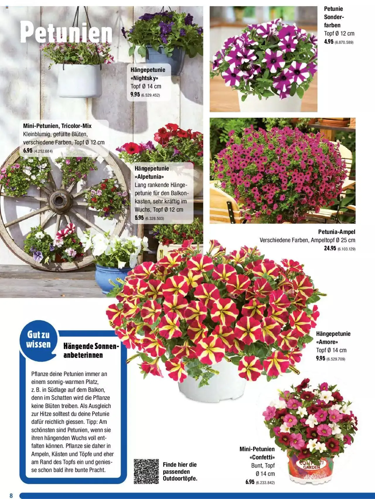 Jumbo Dein Garten 2023 von 20. März bis 31. Dezember 2023 - Prospekt seite 8