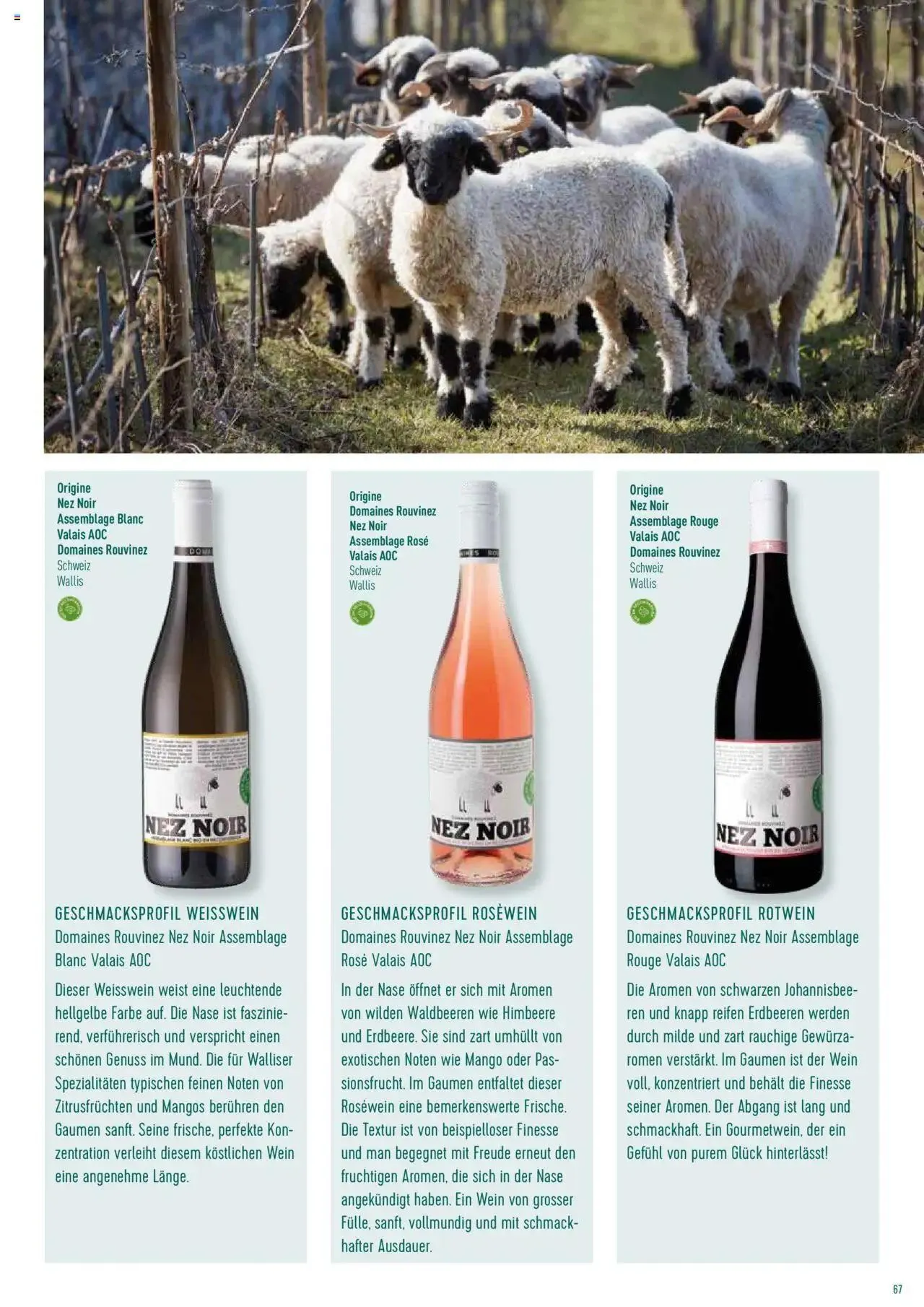 Prodega Aktionen Origine Sortimentsbroschüre von 1. Mai bis 31. Dezember 2024 - Prospekt seite  67