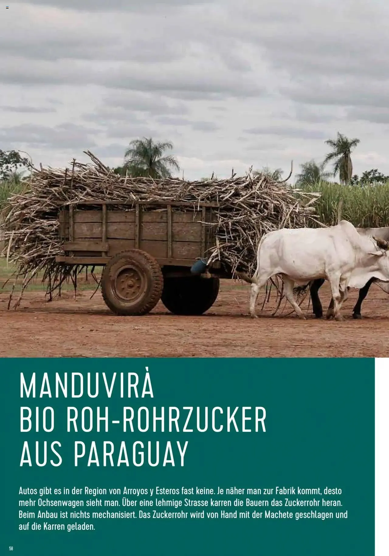 Prodega Aktionen Origine Sortimentsbroschüre von 1. Mai bis 31. Dezember 2024 - Prospekt seite  58