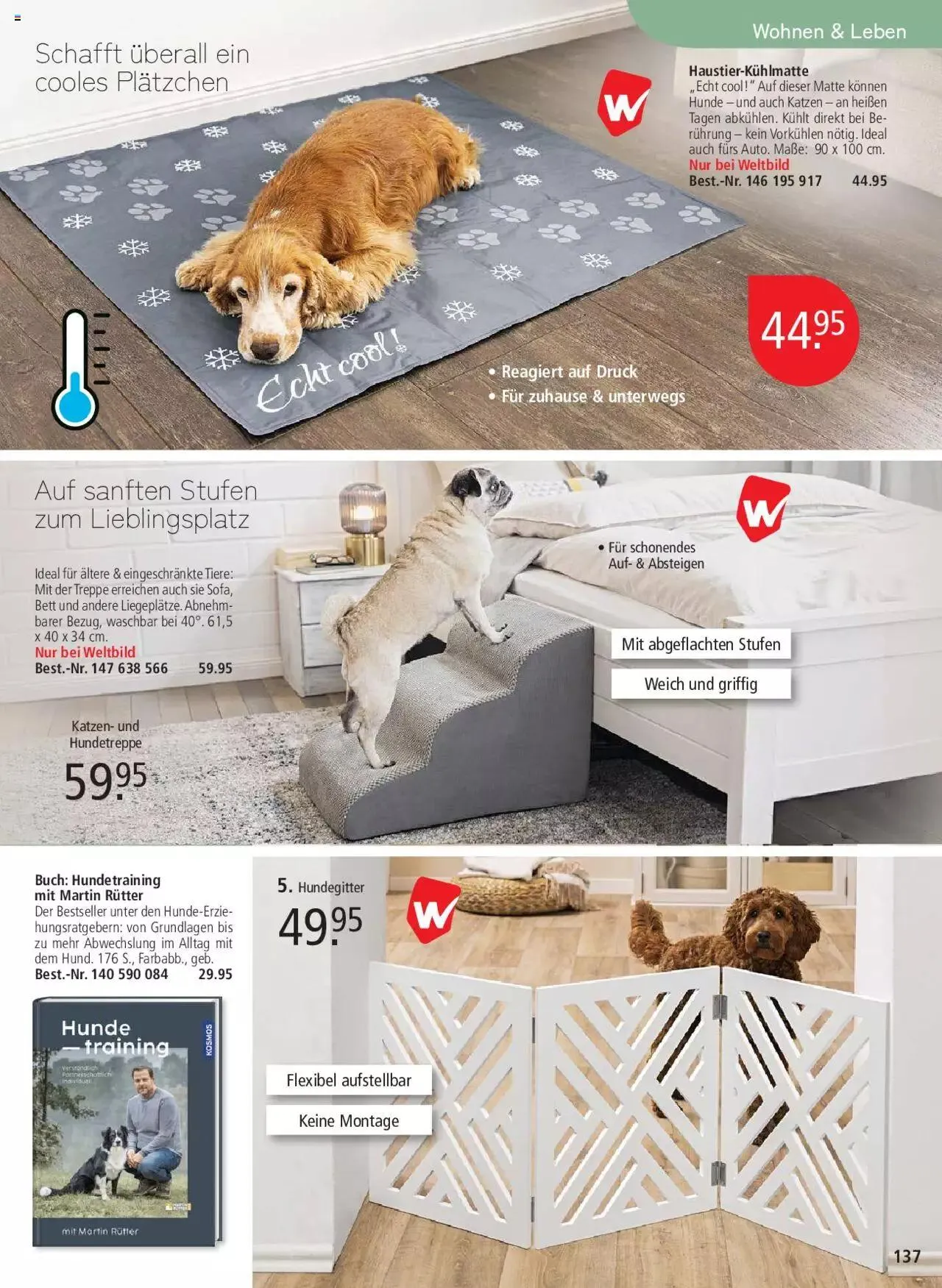 Weltbild Aktionen von 24. Mai bis 31. Dezember 2024 - Prospekt seite  137