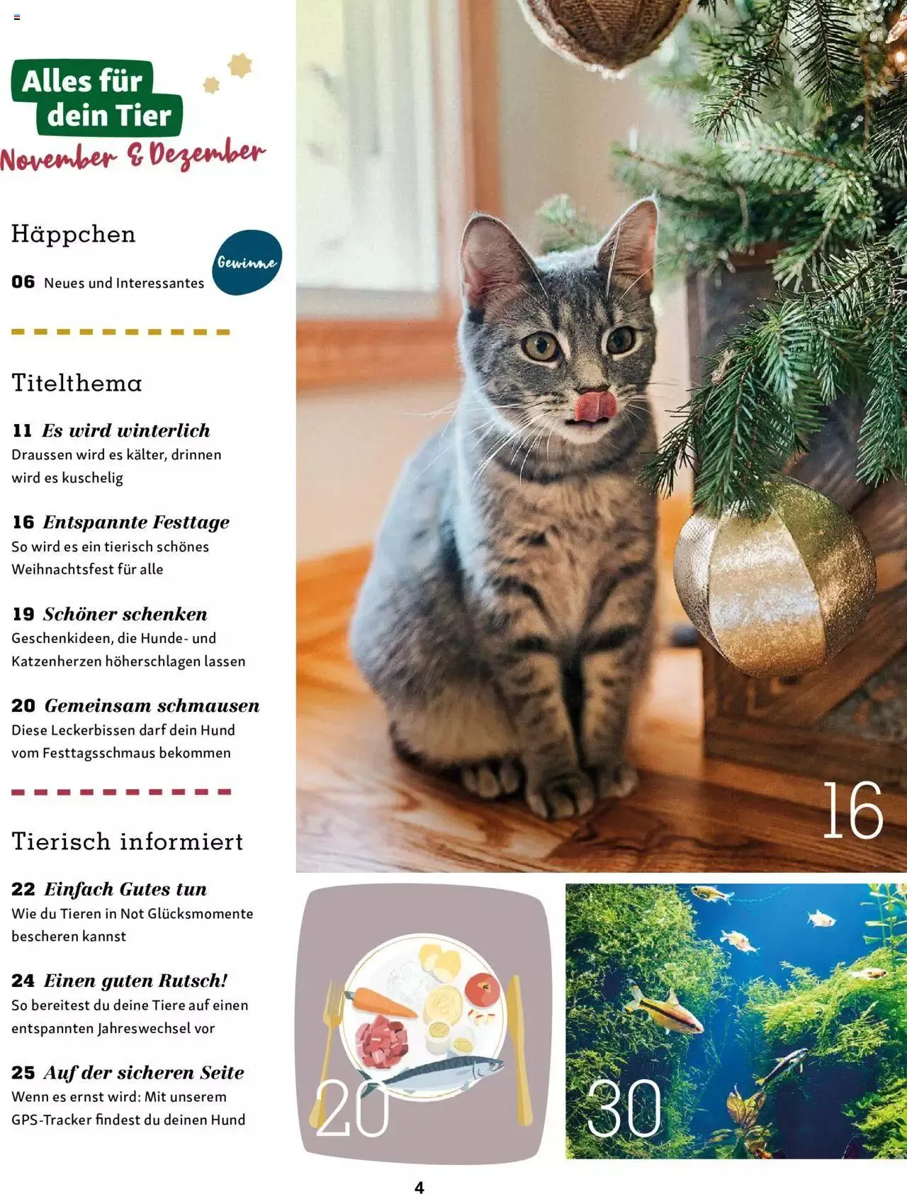 Fressnapf Magazin von 1. November bis 31. Dezember 2023 - Prospekt seite 4