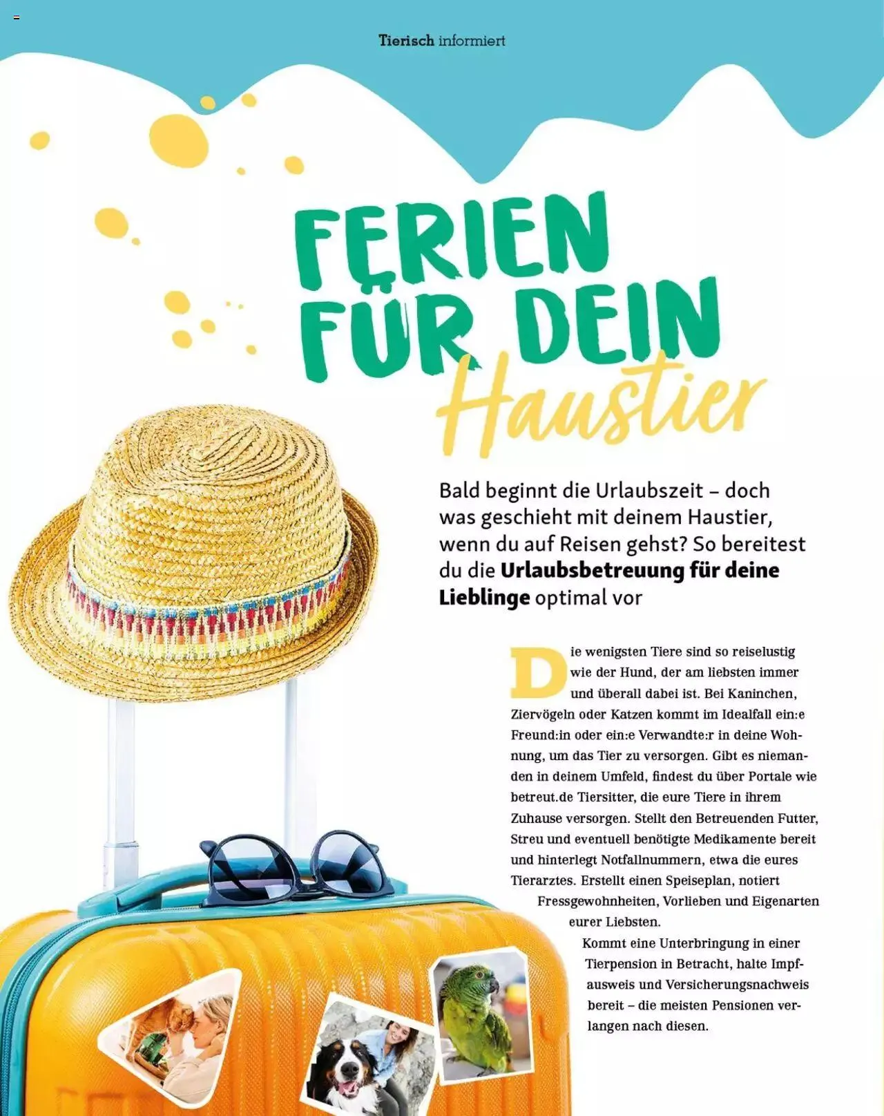 Fressnapf Magazin von 1. Mai bis 31. Dezember 2023 - Prospekt seite  22