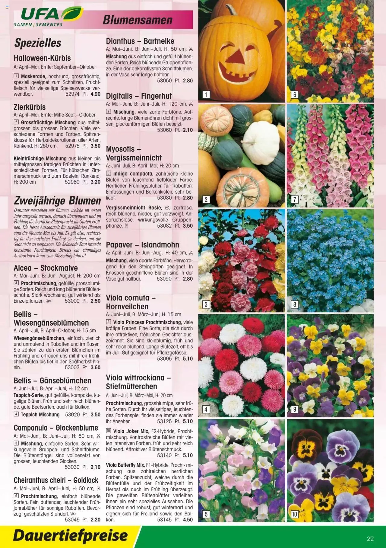 Landi - Gartensamenkatalog 2023 von 10. Januar bis 31. Dezember 2023 - Prospekt seite  22