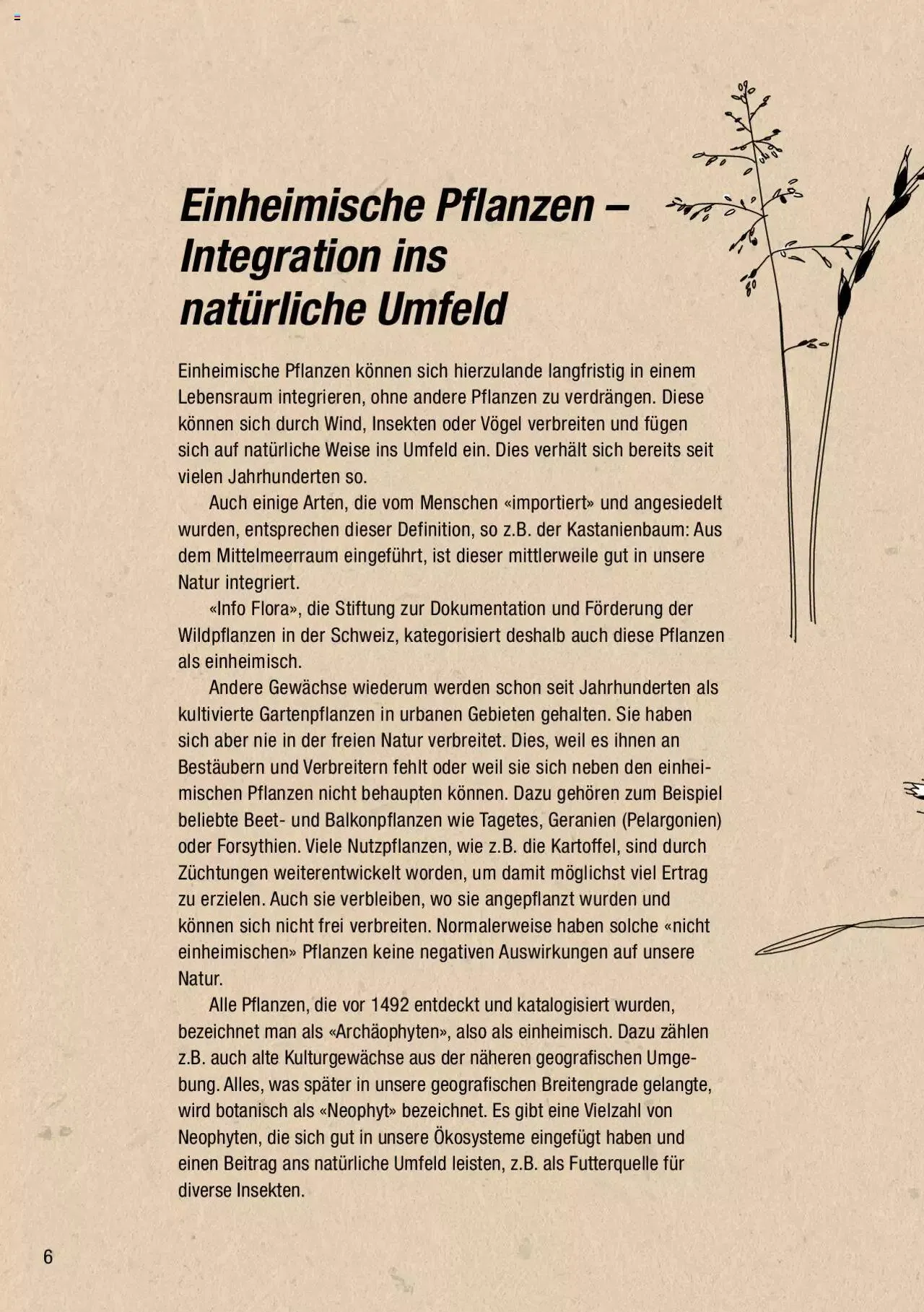 DO IT+GARDEN MIGROS - Biodiversität Broschüre von 9. März bis 31. Dezember 2024 - Prospekt seite  6