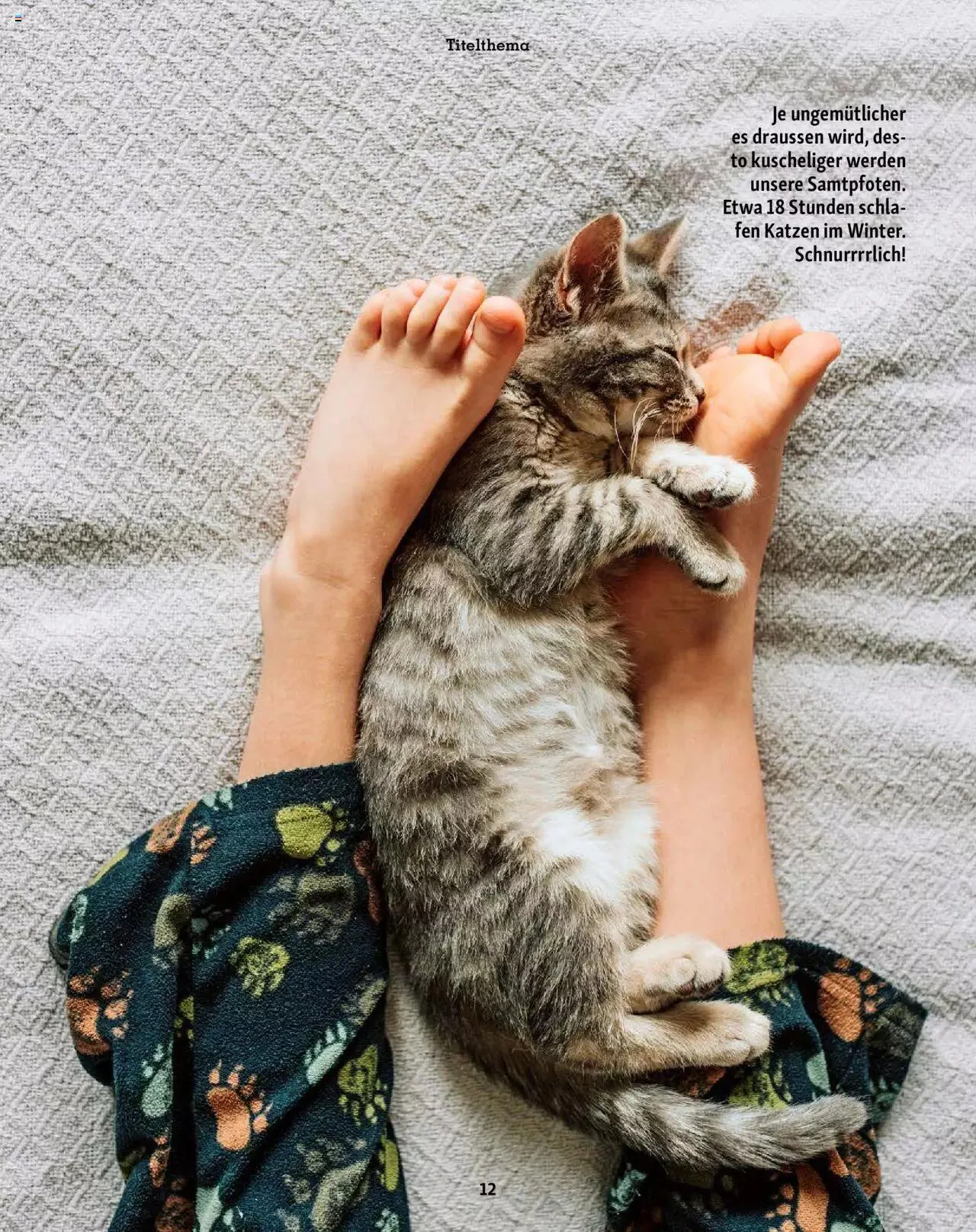 Fressnapf Magazin von 1. November bis 31. Dezember 2023 - Prospekt seite 12