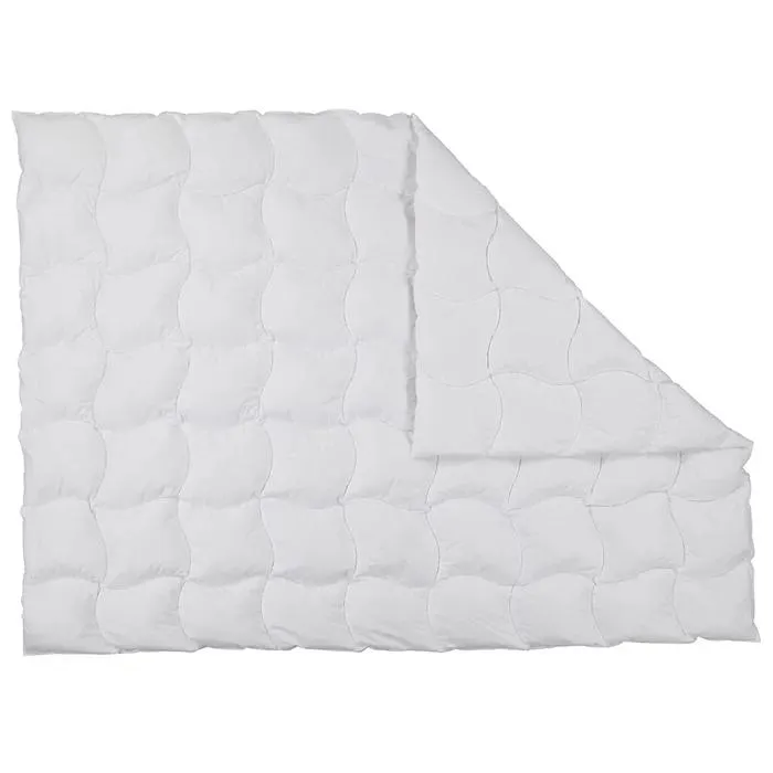 ALBIS Daunenduvet WG2 160 x 210 cm
