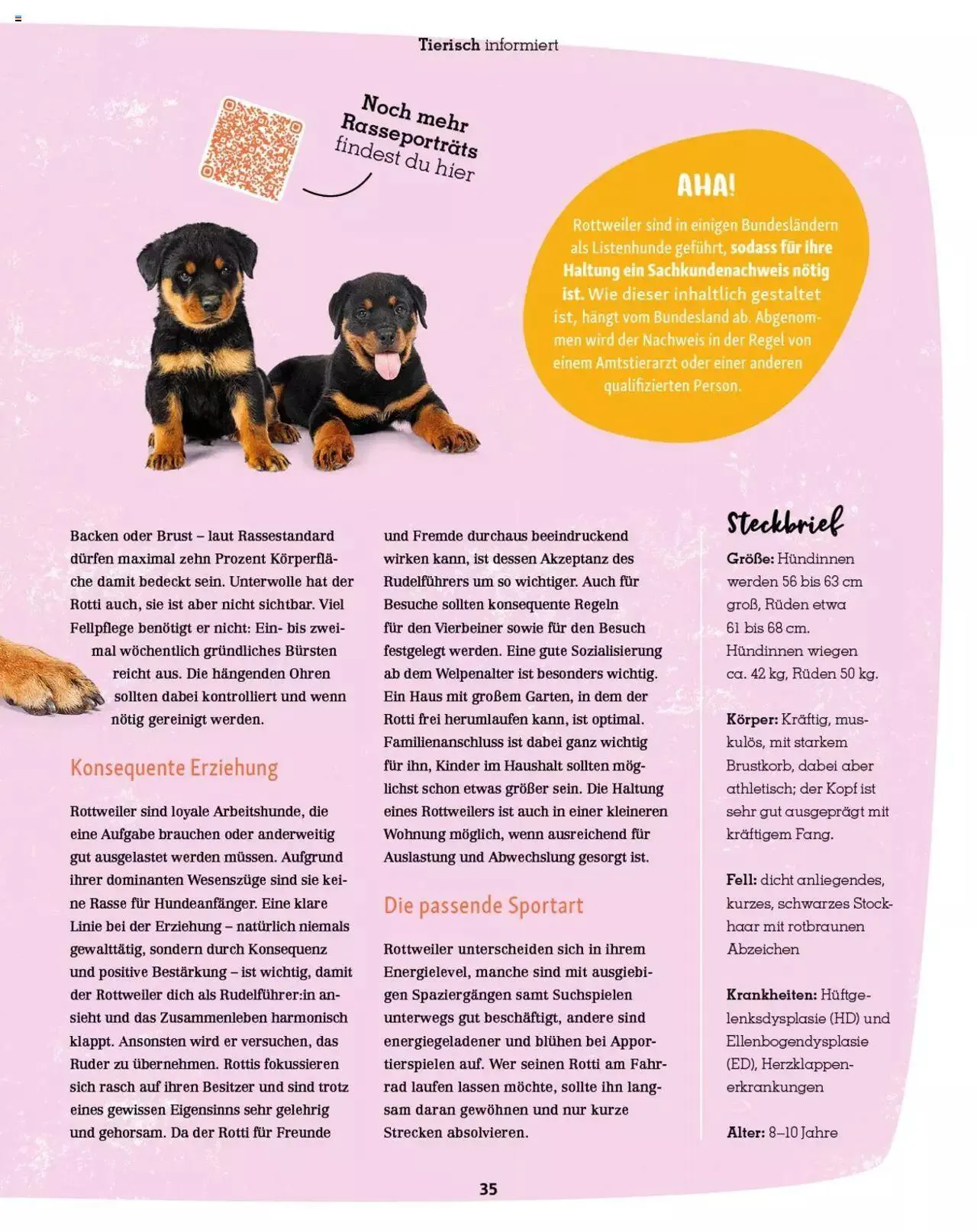 Fressnapf Magazin von 1. Mai bis 31. Dezember 2023 - Prospekt seite  35