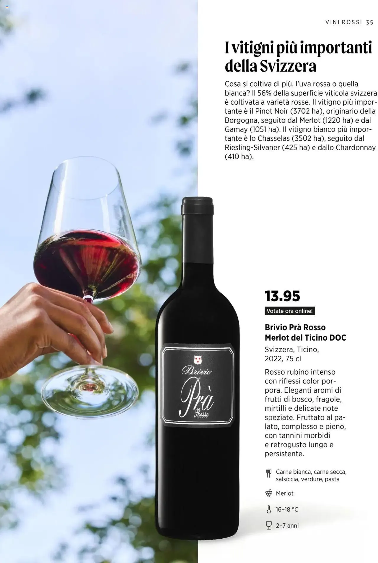 Denner Aktionen Guida dei vini 2024/2025 von 11. September bis 31. Dezember 2024 - Prospekt seite 35