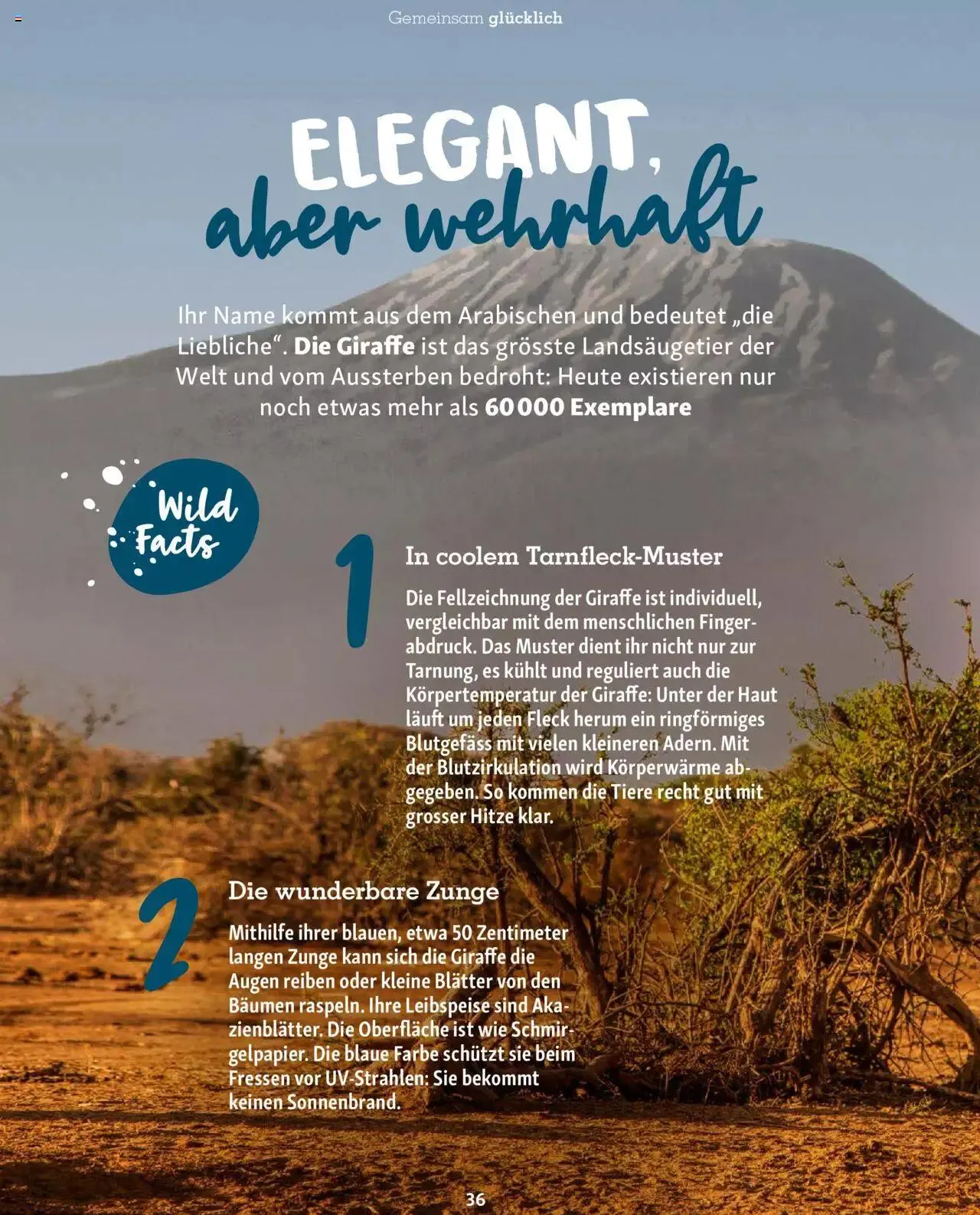 Fressnapf Magazin von 1. November bis 31. Dezember 2023 - Prospekt seite 36