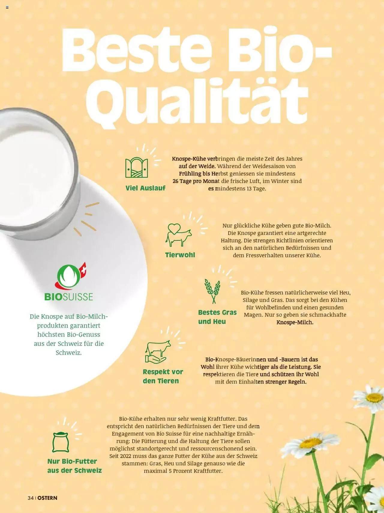 Coop Aktionen Ostern von 28. März bis 31. Dezember 2023 - Prospekt seite  34