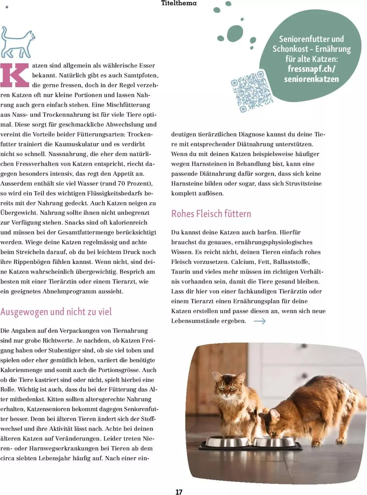 Fressnapf Magazin von 1. September bis 31. Oktober 2023 - Prospekt seite  17