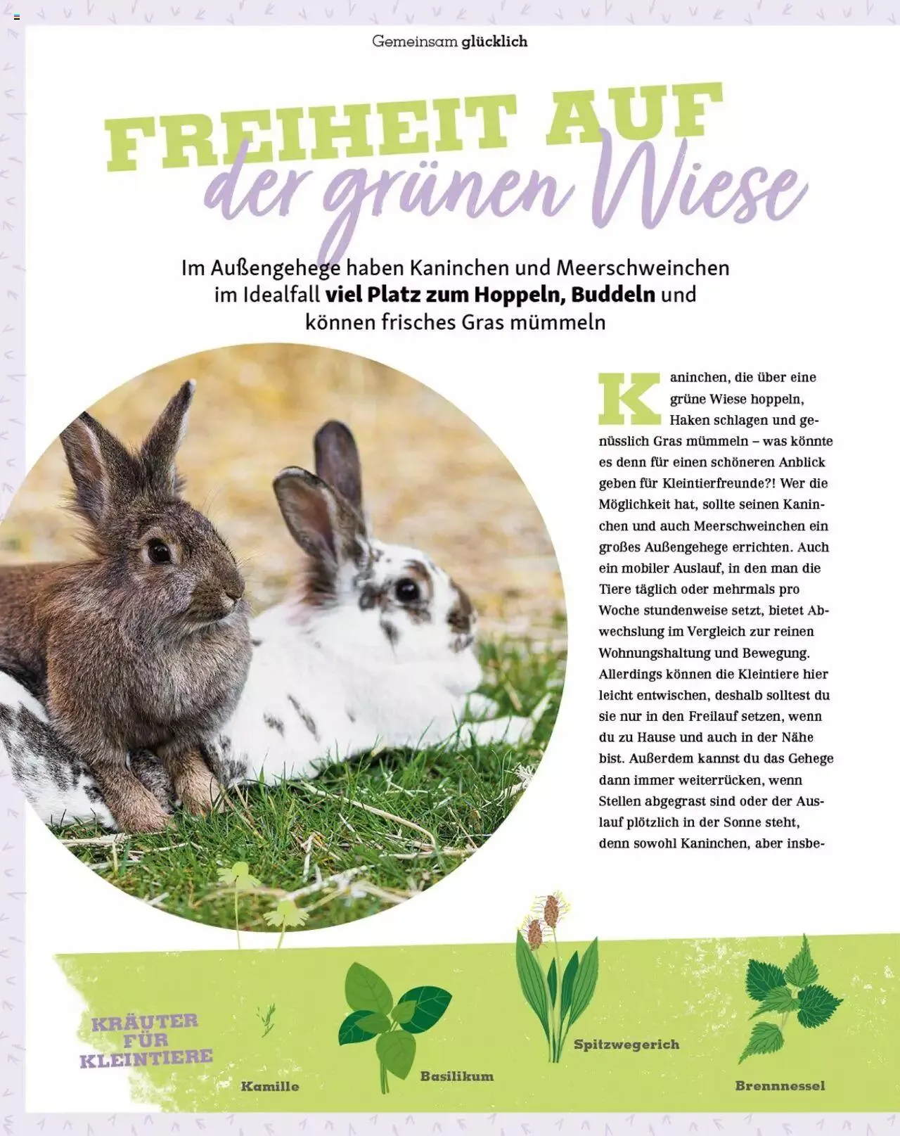 Fressnapf Magazin von 1. Mai bis 31. Dezember 2023 - Prospekt seite  38