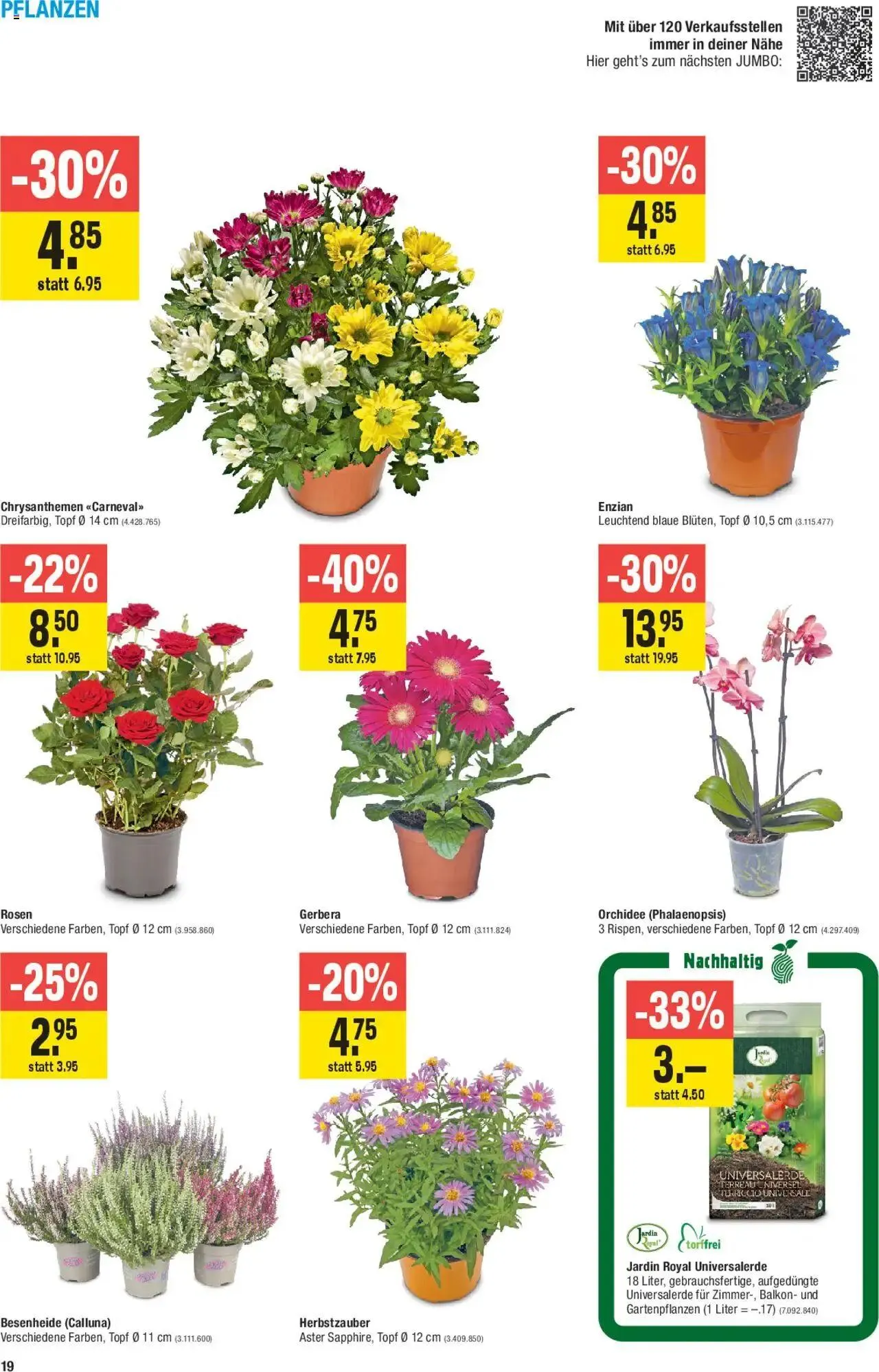 Jumbo Aktionen von 27. August bis 8. September 2024 - Prospekt seite  19