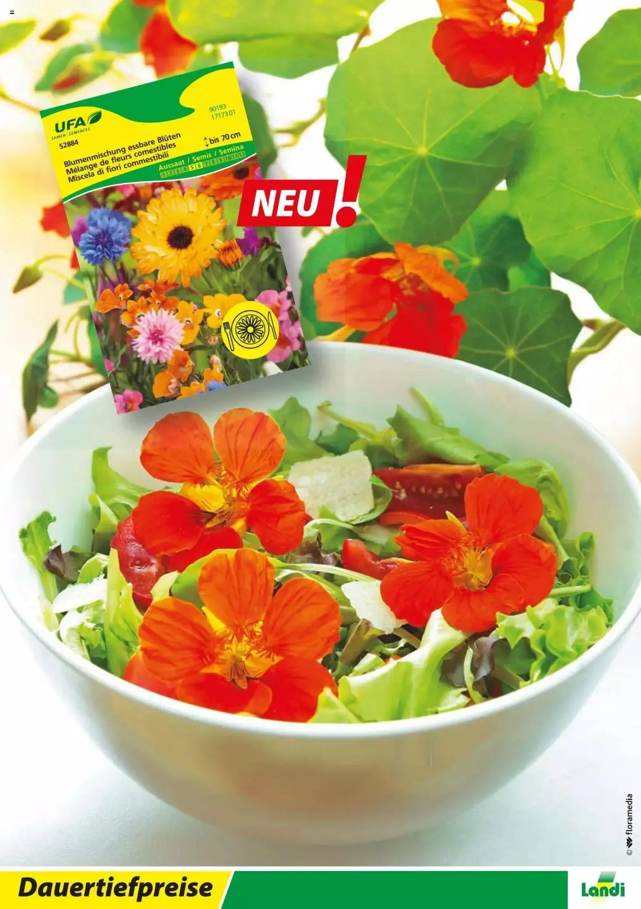 Landi - Gartensamenkatalog 2023 von 10. Januar bis 31. Dezember 2023 - Prospekt seite  28