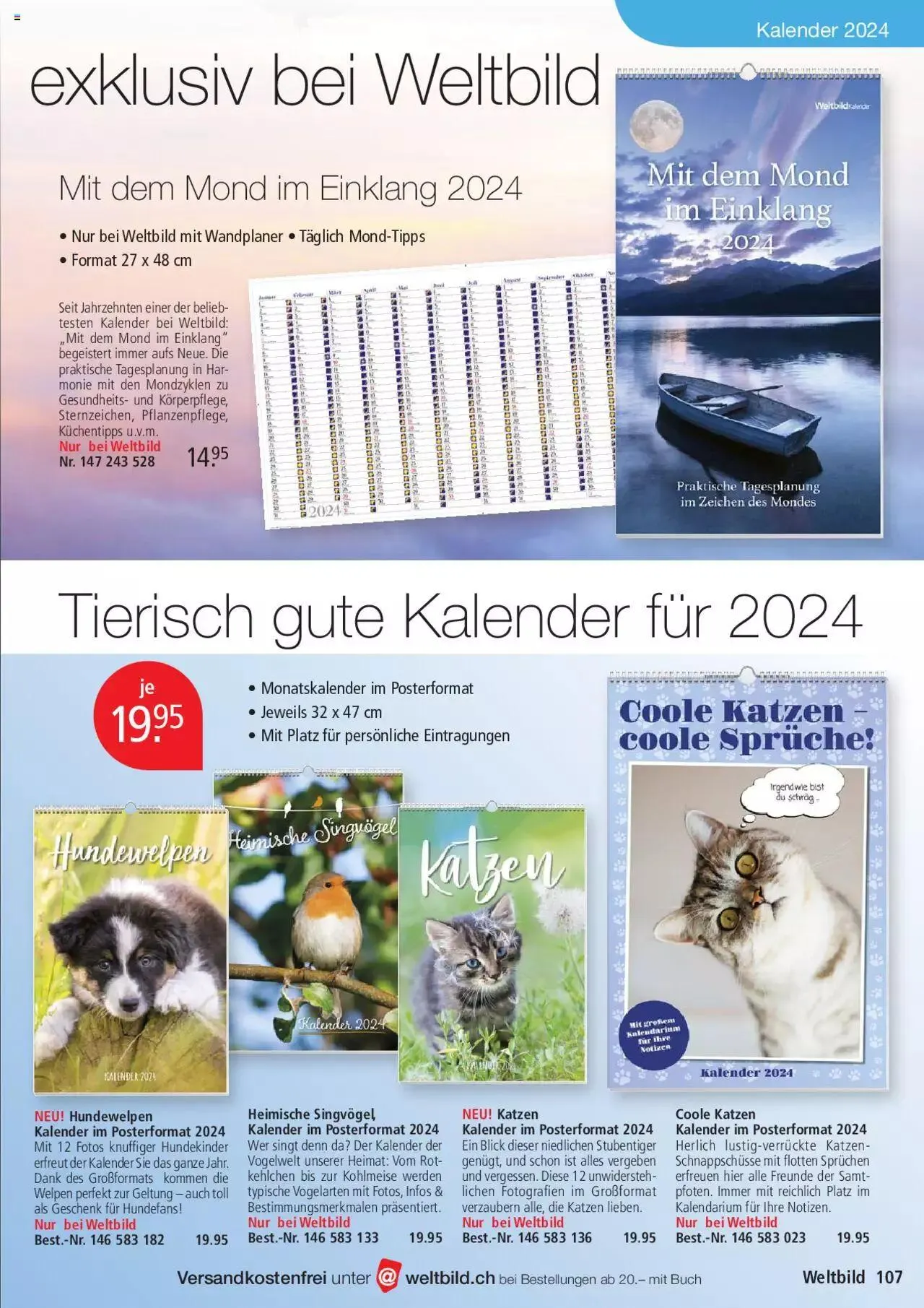 Weltbild Aktionen von 1. Juli bis 31. Juli 2023 - Prospekt seite  107