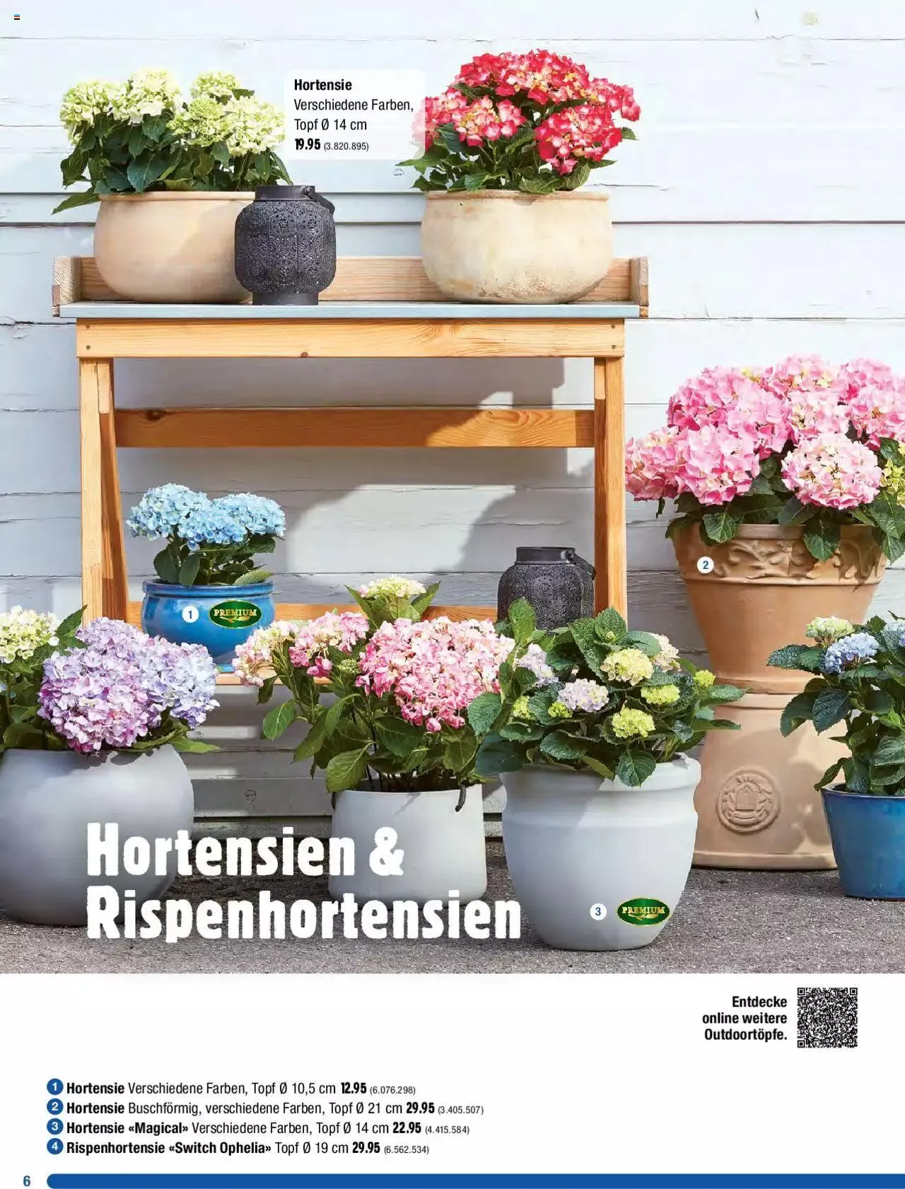 Jumbo Dein Garten 2023 von 20. März bis 31. Dezember 2023 - Prospekt seite 6