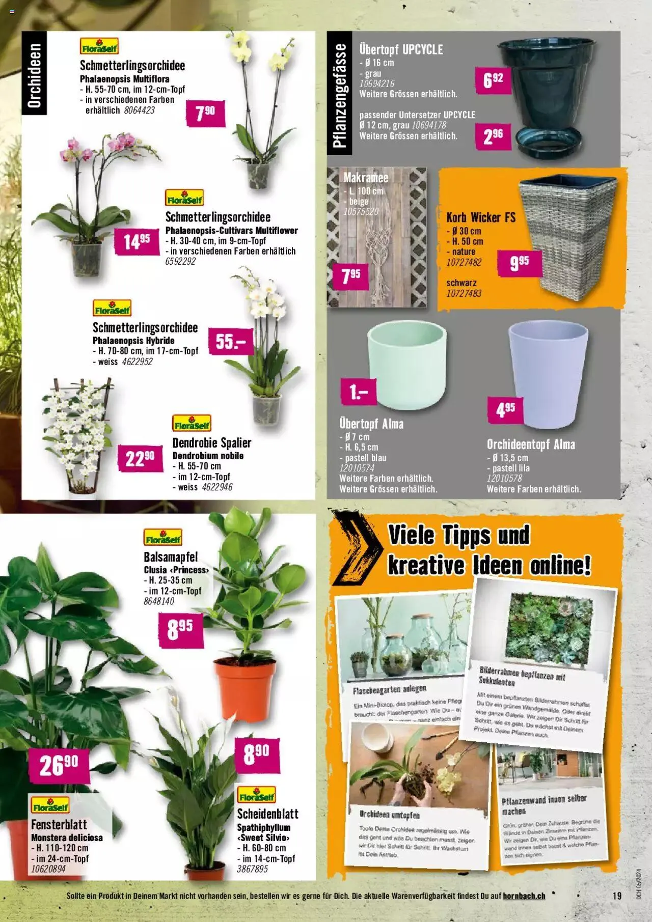 Hornbach Aktionen von 1. Februar bis 26. Februar 2024 - Prospekt seite 19