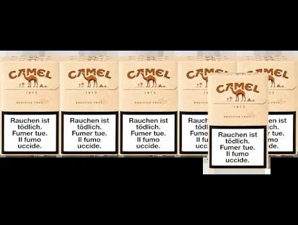 Camel Essential Brown